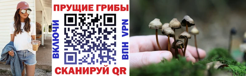Купить закладки  Выкса  Галлюциногенные грибы прущие грибы 